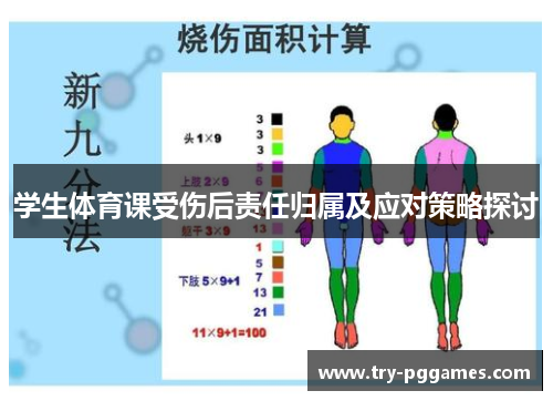 学生体育课受伤后责任归属及应对策略探讨