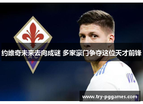 约维奇未来去向成谜 多家豪门争夺这位天才前锋