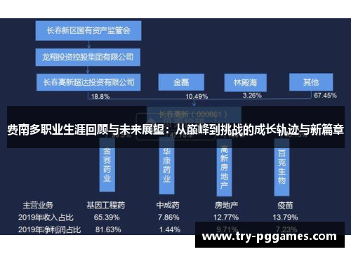费南多职业生涯回顾与未来展望：从巅峰到挑战的成长轨迹与新篇章