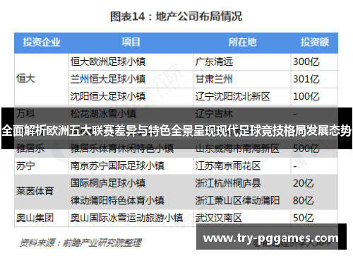 全面解析欧洲五大联赛差异与特色全景呈现现代足球竞技格局发展态势