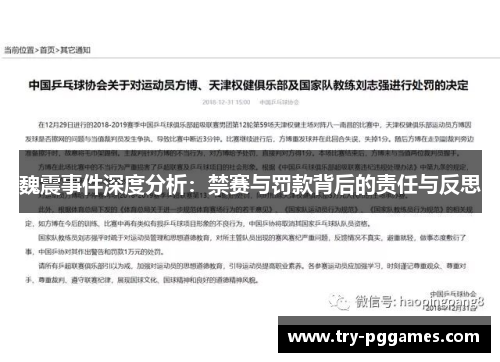 魏震事件深度分析：禁赛与罚款背后的责任与反思